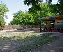 Greenhouse Playground